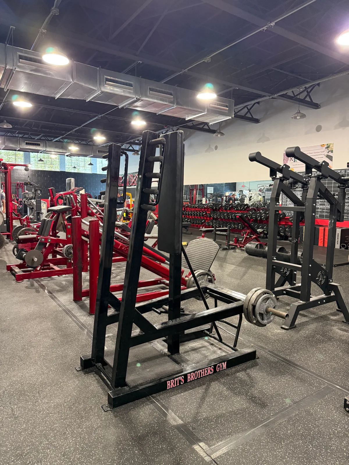 Dynabody Standing Bench Press